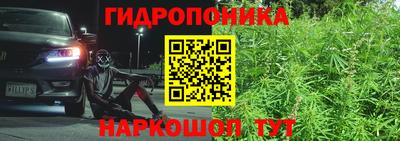 прущие грибы Кимры