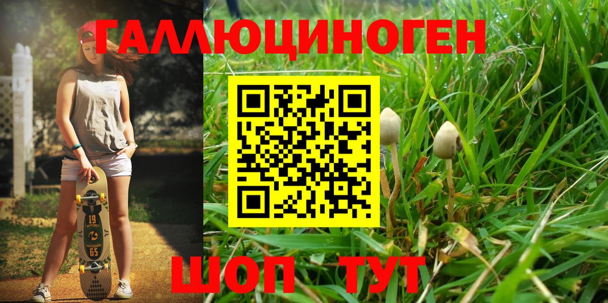 Псилоцибиновые грибы мицелий Донецк