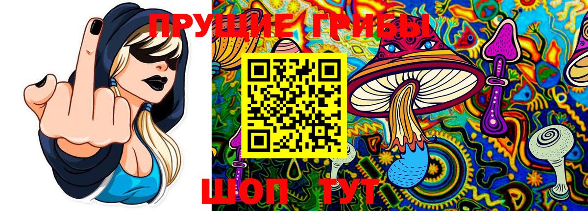 Донецк  Галлюциногенные грибы MAGIC MUSHROOMS  Вход с VPN  Псилоцибиновые грибы GOLDEN TEACHER 